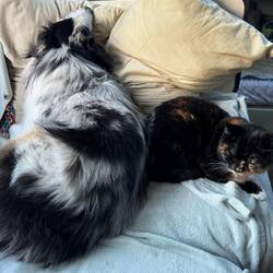 And now it's nap time