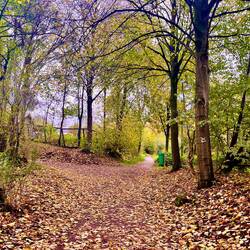 Über kleine idyllische herbstliche Wege .....