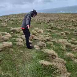 80 km/h Wind ist schon ordentlich