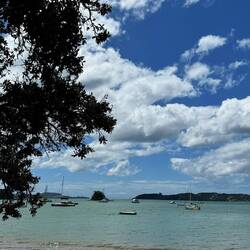 Paihia Beach