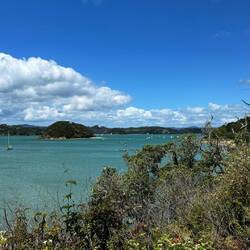 Paihia Beach