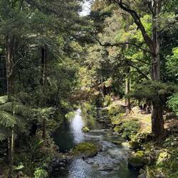 Whangarei Falls