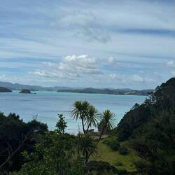 Motuarohia Island
