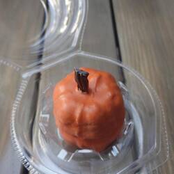 Für zwischendurch ein Kürbiscake