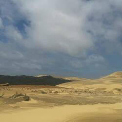 Giant Sand Dunes