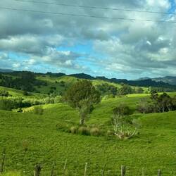 Twin Coast Discovery Highway