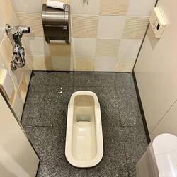 Die andere japanische Toilette