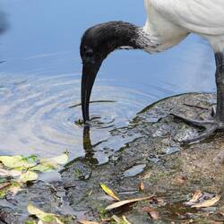 Die sind sooo hässlich 🙈
