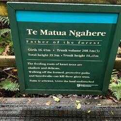 Te Matua Ngahere