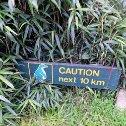 Leider noch keinen gesehen