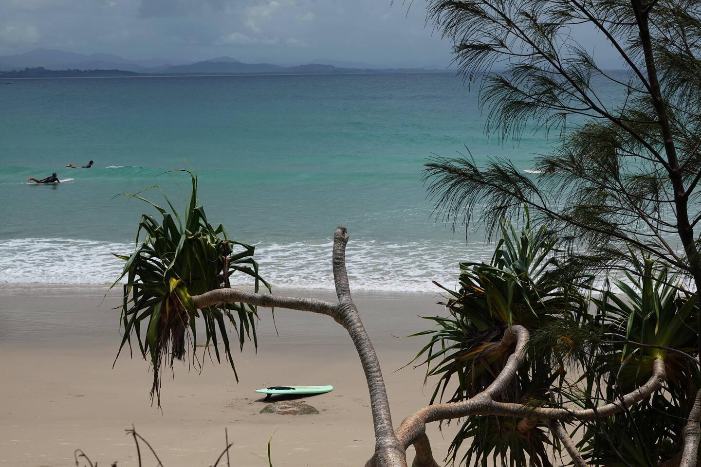 Palm Valley, Byron Bay
