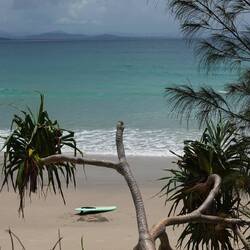 Palm Valley, Byron Bay