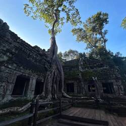 Tomb Raider Tempel