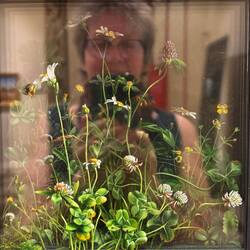 Mehrschichtiges Bild vor Spiegel