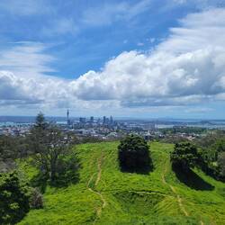 Blick auf Auckland...