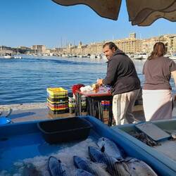 Fischmarkt am Vieux Port