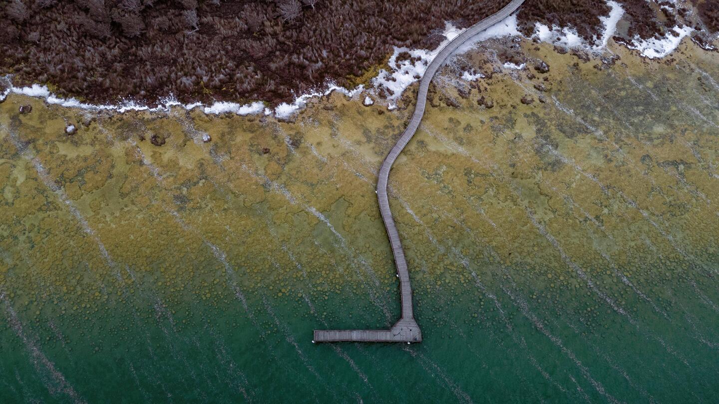 Lake Clifton Thombolites