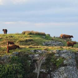 Des petites choupettes