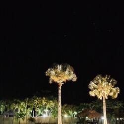 Sternenhimmel über Barahona