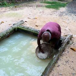 Steine aus dem Sand waschen