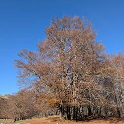 O hie herbstelets🍁🍂