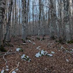 Fing da mau dr Trail🤷🏽