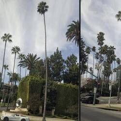 Beverly Hills - Ort der Reichen und Schönen