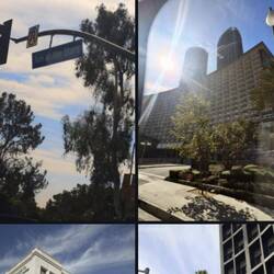 Oben der Eingang zu den Fox Filmstudios