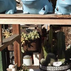 Ausgefallene Blumengefäße