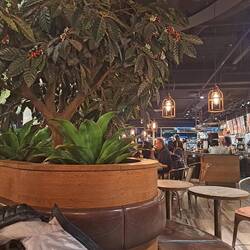 Die lange Wartezeit auf den Nachtzug überbrücken wir im Espresso House gegenüber