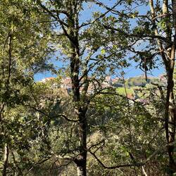 First glimpse of the ocean since I left the coast of Portugal 10 days ago.