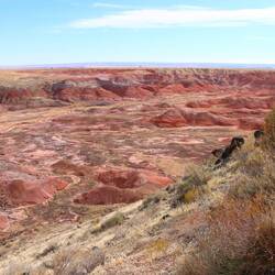 Painted Desert (Tawa Point)