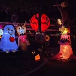 Las decoración de halloween en nuestro alojamiento