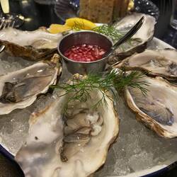 Oysters to start