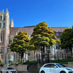 Kirche in Wellington