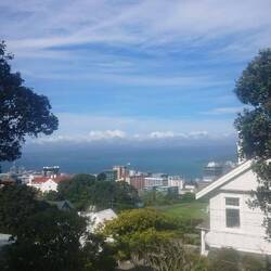 Blick über Wellington