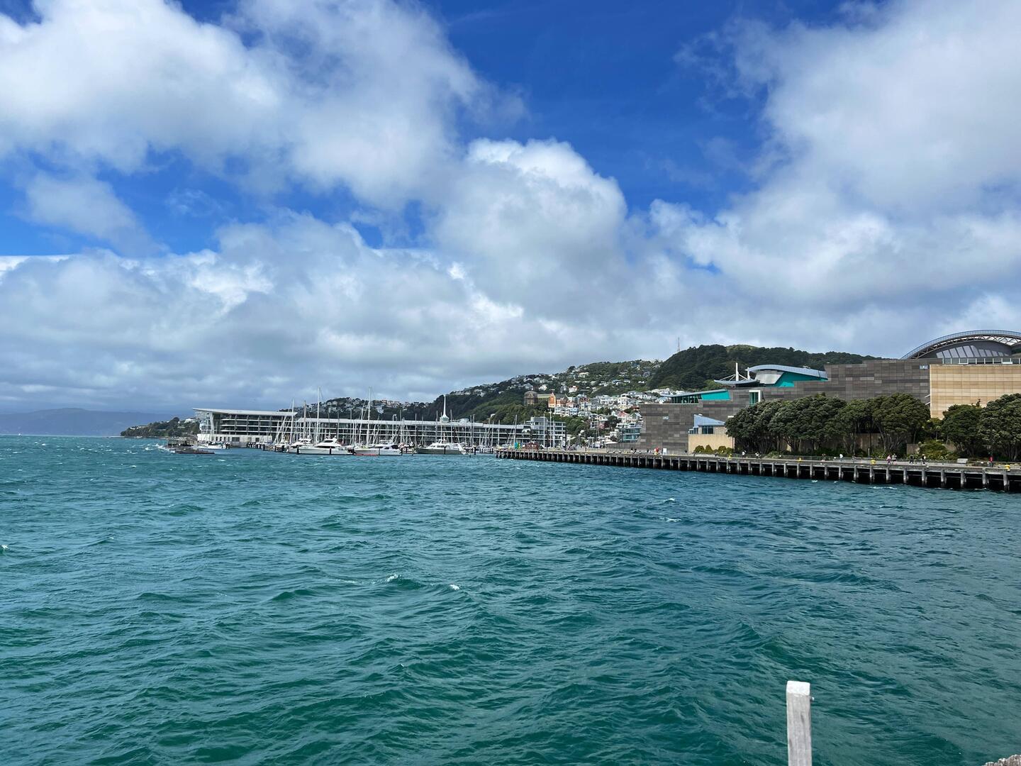 Wellington Harbour