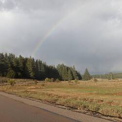 Der Zederwald unter einem Regenbogen