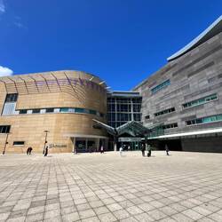 Te Papa Museum
