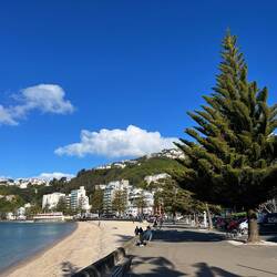 Beach Wellington