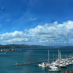 Harbour Wellington