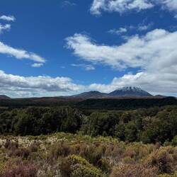 Ngauruhoe und links Mt Tongariro