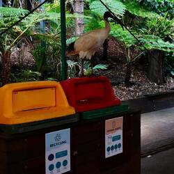 Bin chicken auf bin 🤪