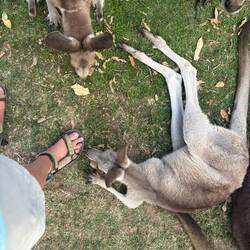 Berührungsangst ist unbekannt