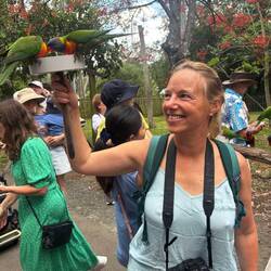 Fütterung der wilden Loris