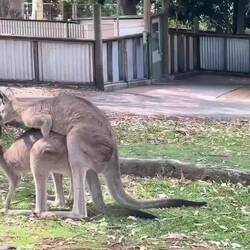 Achtung, nicht jugendfrei