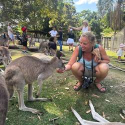 All you can eat buffet