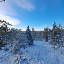 Aussicht von der 1. Etage....weiter hab ich mich nicht getraut