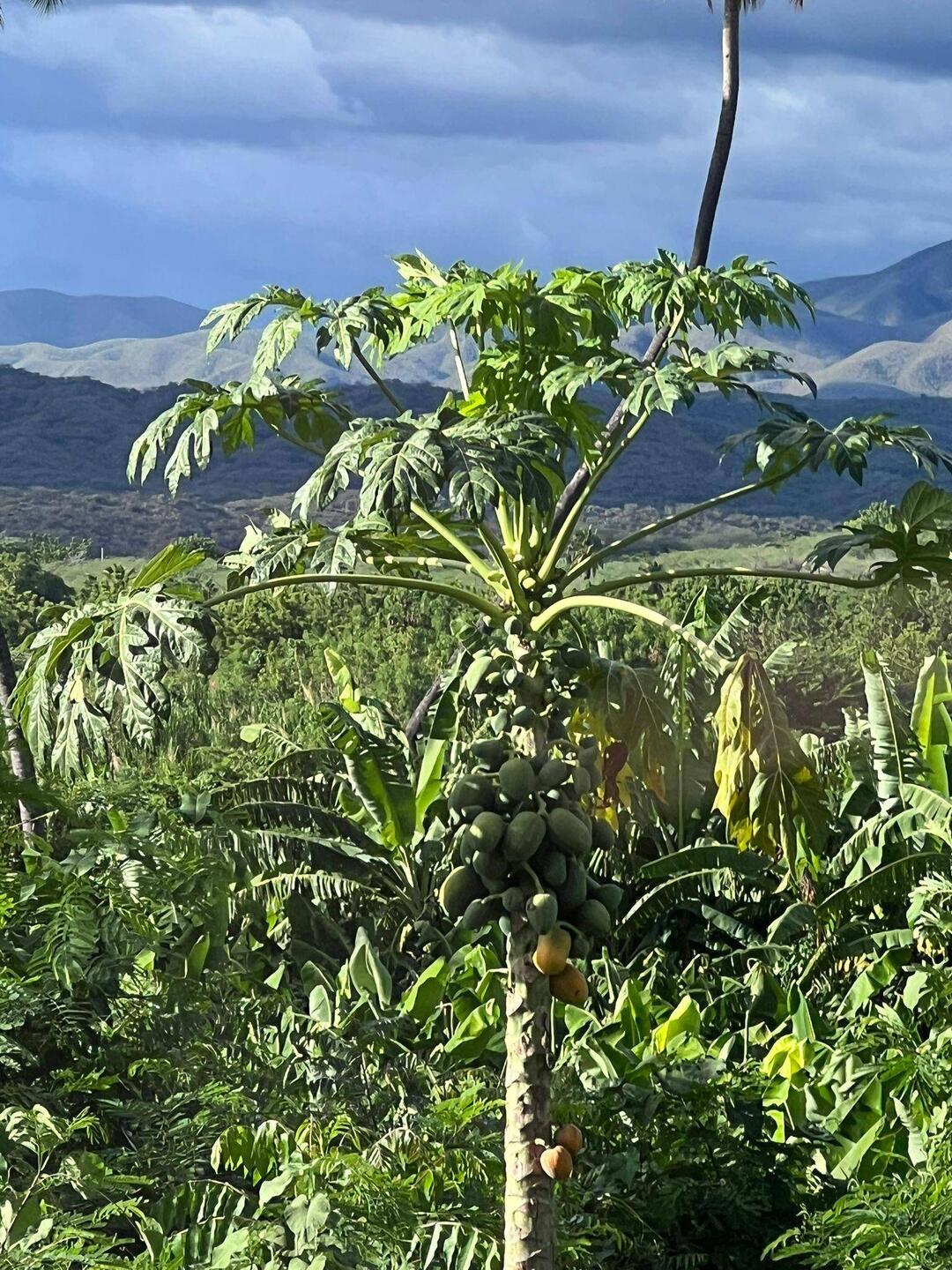 Rückfahrt nach Santiago