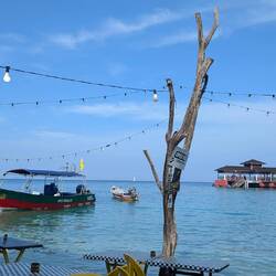 Tide came in so fast, started engulfing tables at breakfast